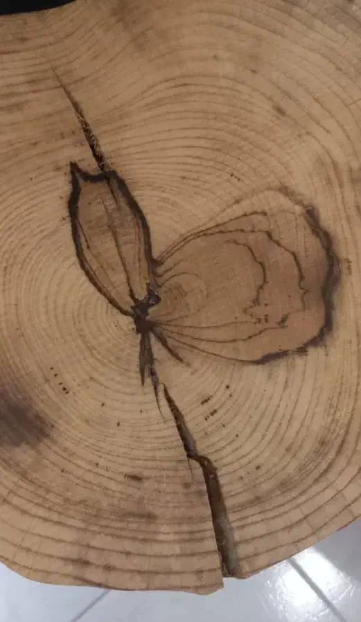 میز عسلی یا کنارسالنی باچوپ کاملا طبیعی|مبلمان خانگی و میز عسلی|تهران, پرستار|دیوار