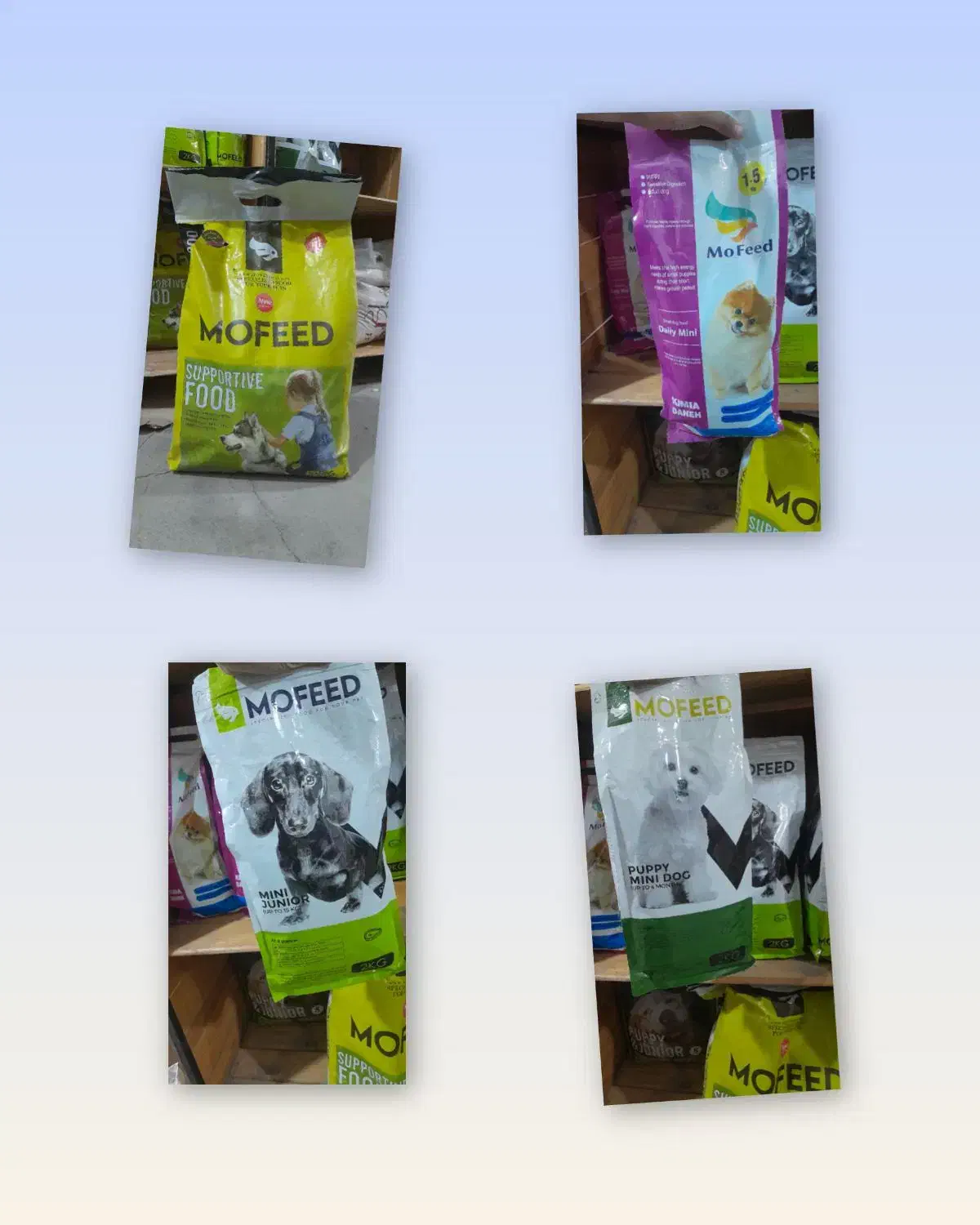 فروش لوازم سگ|لوازم جانبی حیوانات|خاوران, |دیوار