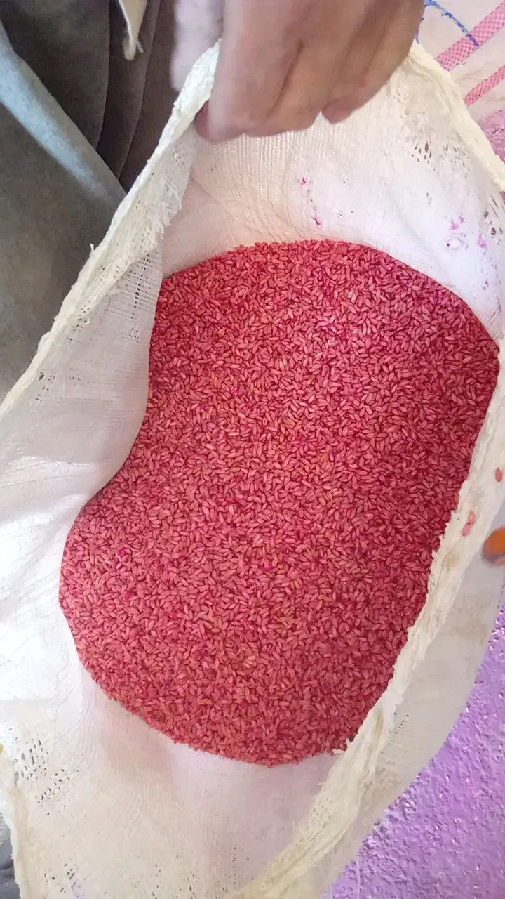 گندم وجو|خوردنی و آشامیدنی|هرسین, |دیوار