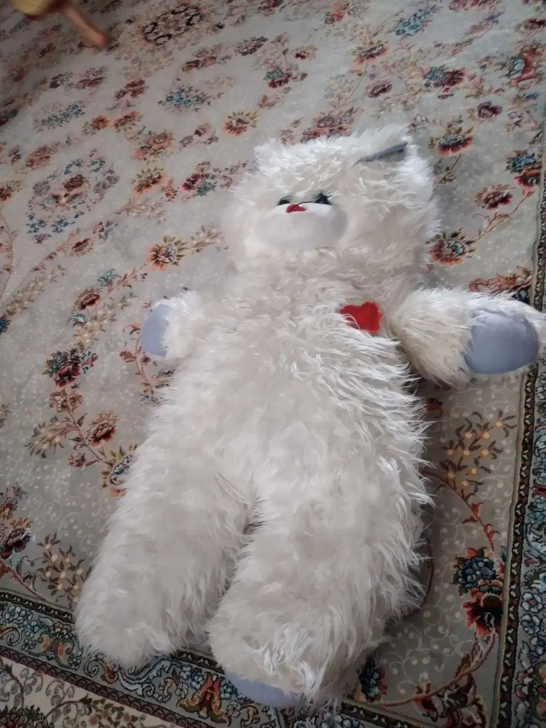 عروسک گربه|اسباب‌بازی بچه|بیرجند, |دیوار