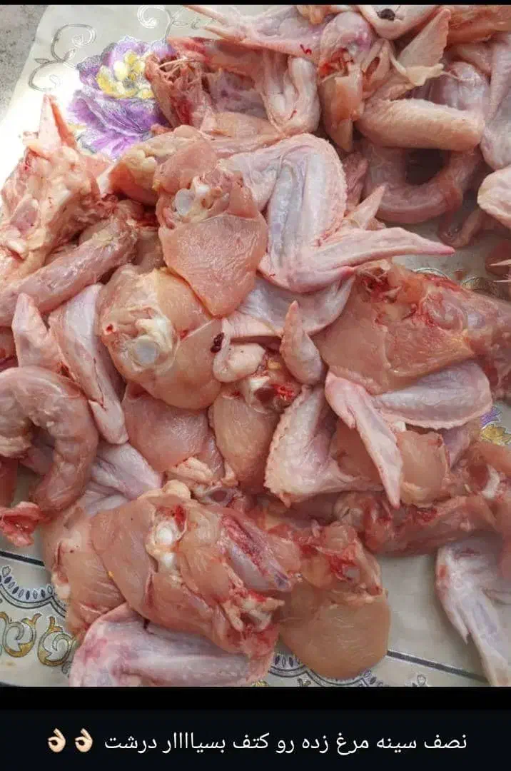 کتف بال تازه|خوردنی و آشامیدنی|رامهرمز, |دیوار