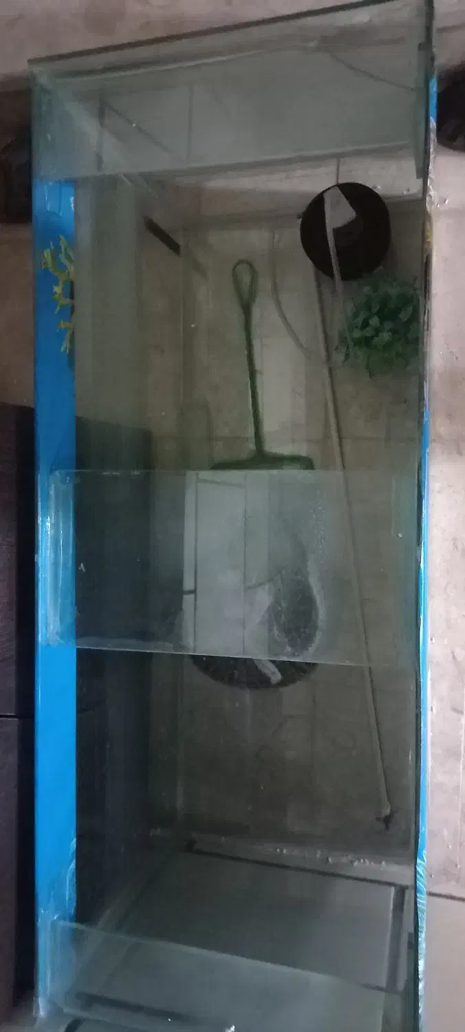 آکواریوم دست‌ساز|ماهی|شاهین‌شهر, گزبرخوار|دیوار