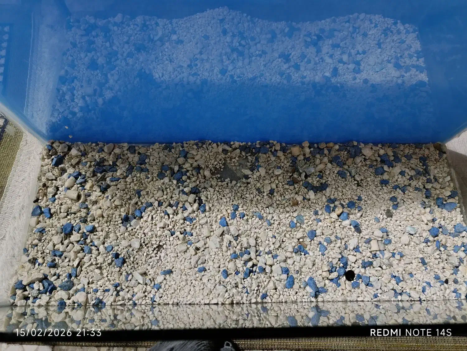 اکواریوم|ماهی|رشت, دخانیات|دیوار