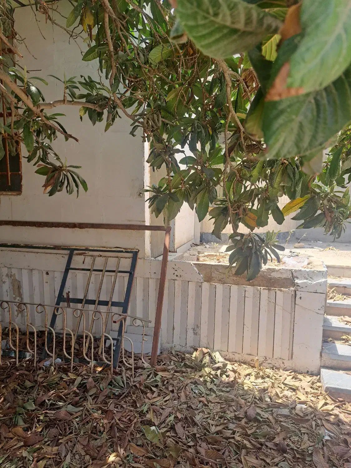 راهنمایی درمورد حیاط تجاری با دو اطاق|اجارهٔ مغازه و غرفه|شیراز, شهرک قمشه|دیوار