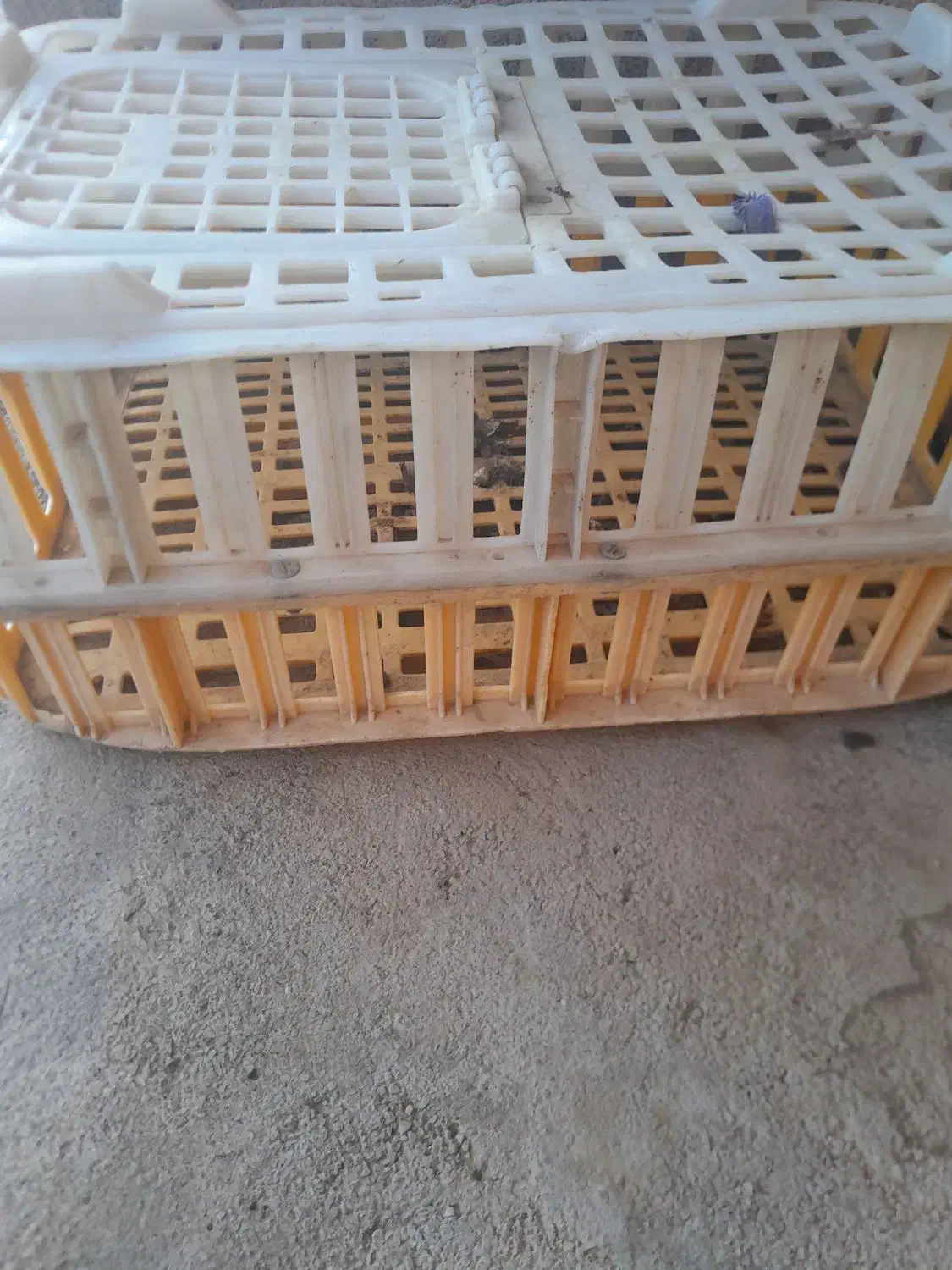 تعدادی جعبه|لوازم جانبی حیوانات|هندمینی, |دیوار