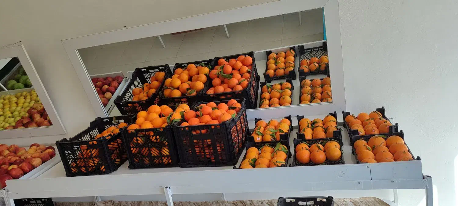 وسایل میوه فروشی|فروشگاه و مغازه|خمیر, |دیوار