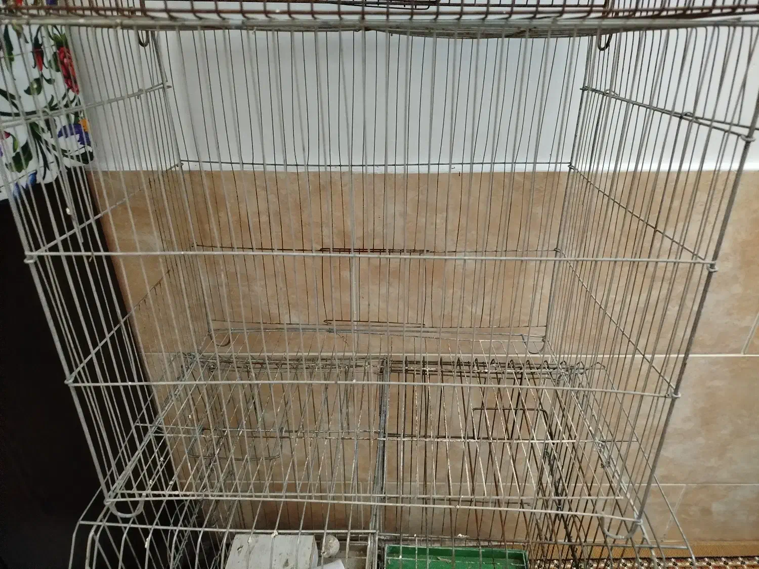 قفس پرنده|لوازم جانبی حیوانات|رشت, دباغیان|دیوار