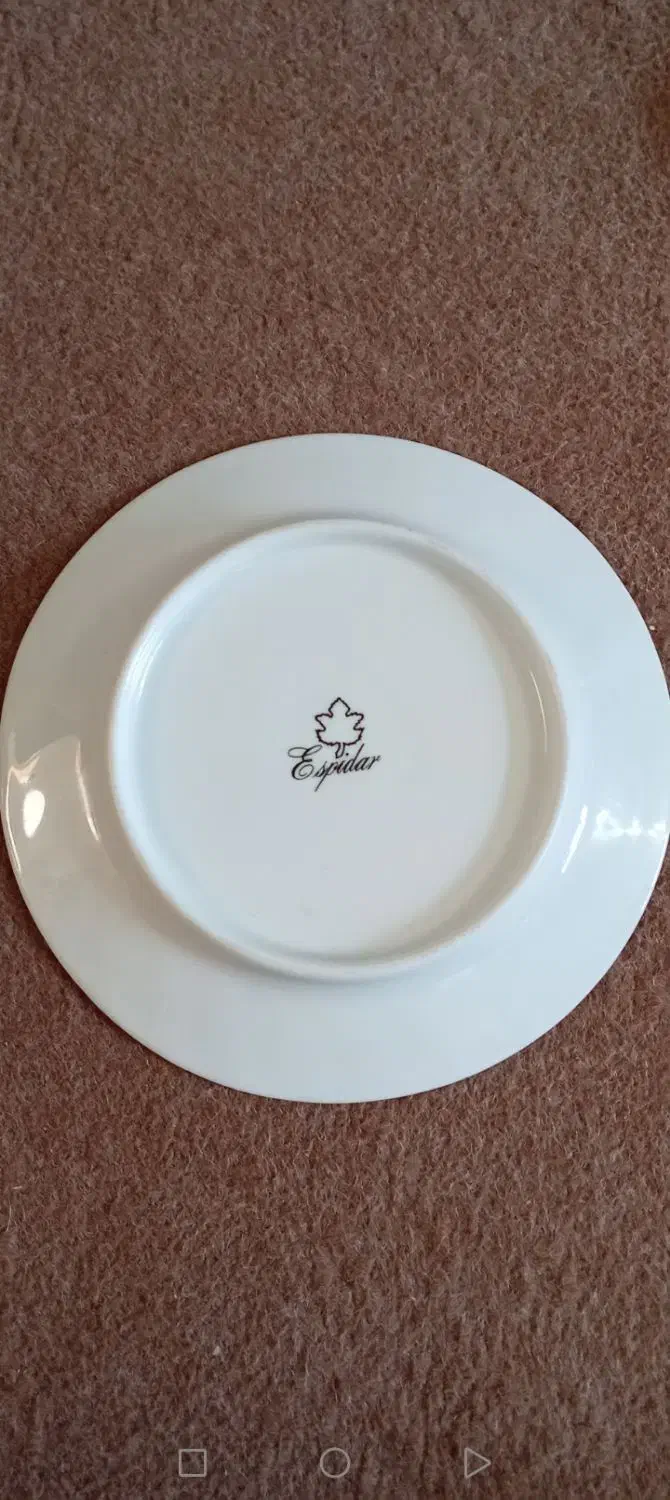 (ظروف چینی اسپیدار فرانسه) فروش فوری فوری|ظروف سرو و پذیرایی|سامان, |دیوار