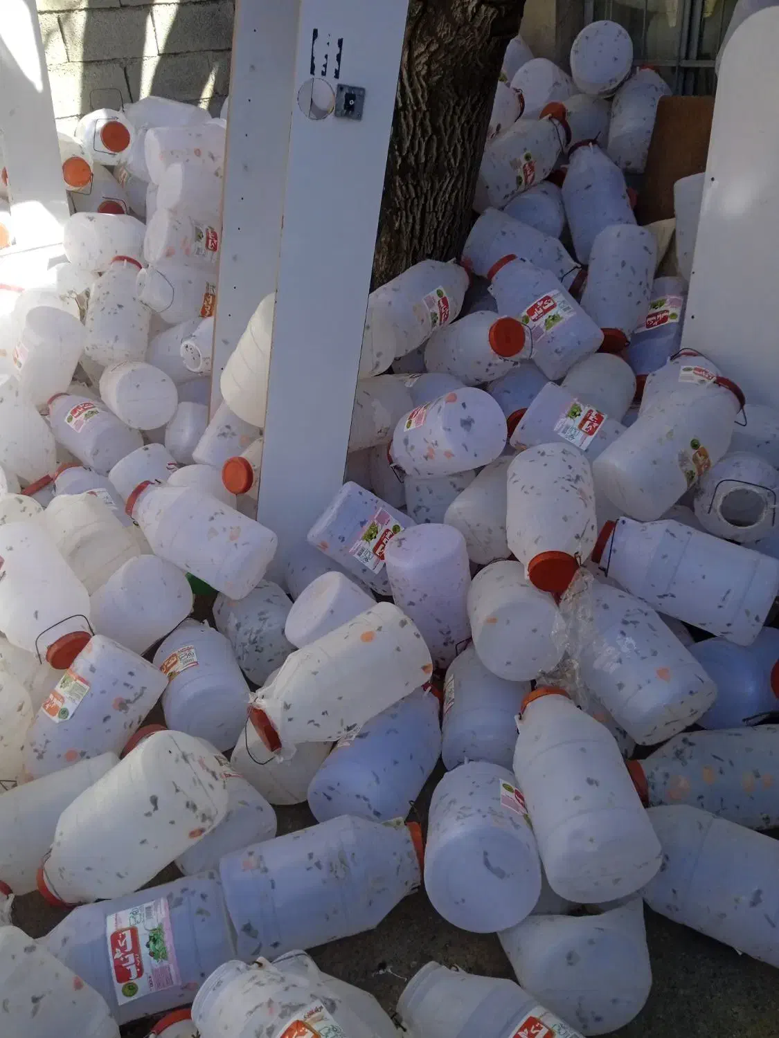 دبه|ظروف نگهدارنده، پلاستیکی، یک‌بارمصرف|سقز, |دیوار