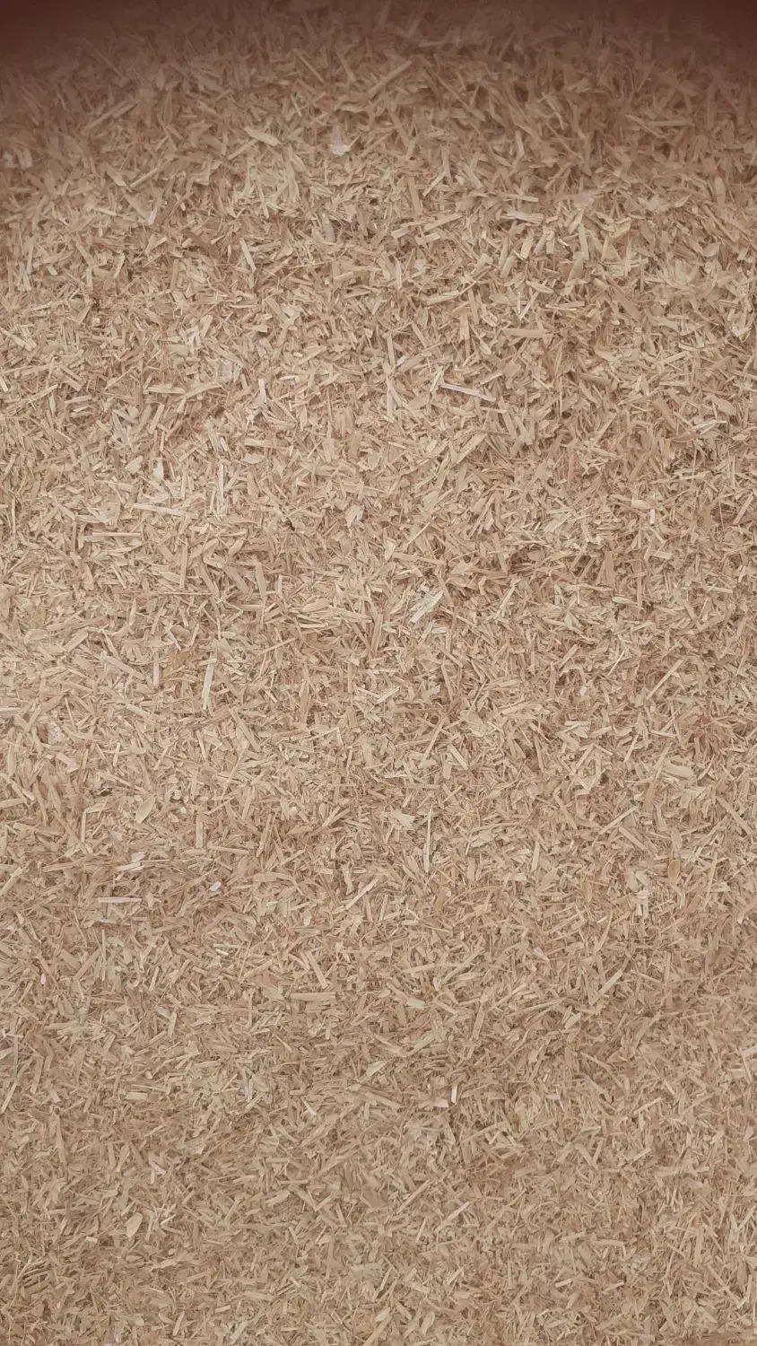 فروش کاه|خدمات باغبانی و درختکاری|دهدشت, |دیوار