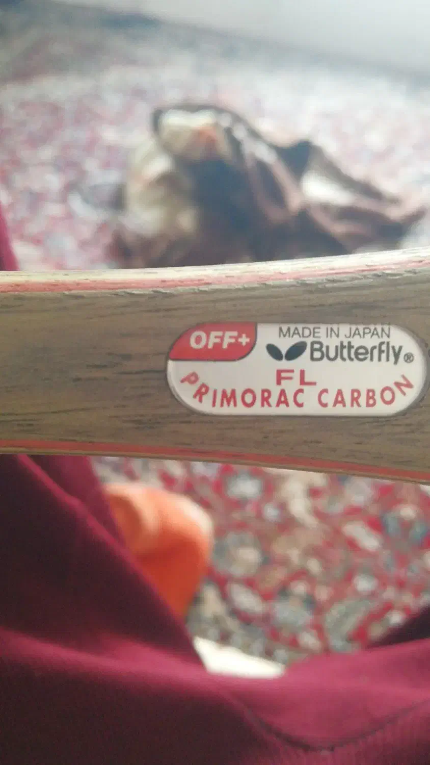 باترفلای کربن دار رویه تینرژی 05|ورزشهای توپی|شیراز, باغ تخت|دیوار