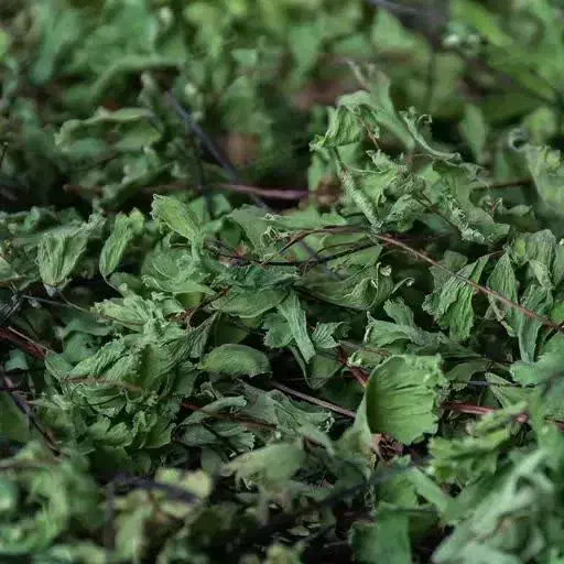 زمین|فروش زمین و ملک کلنگی|هیرمند, |دیوار