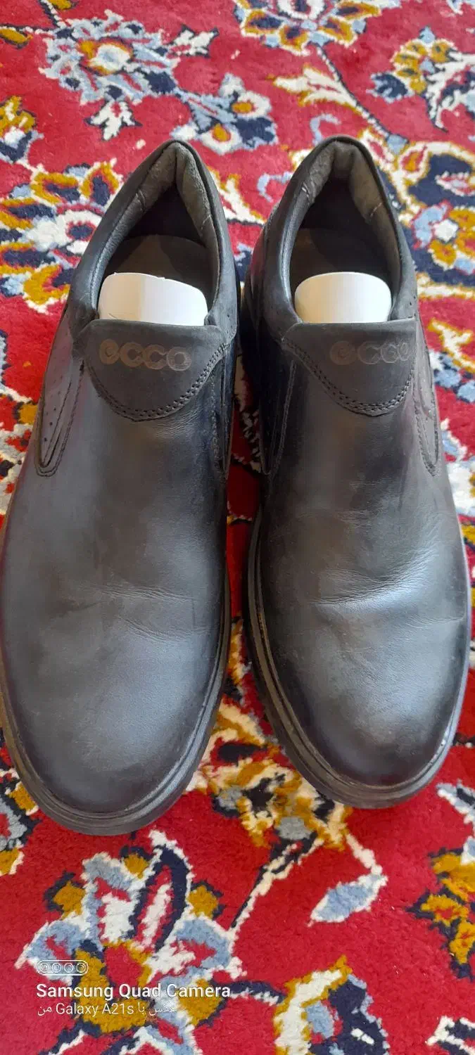 کفش چرم سایز ۴۰ نو مارک eco|کیف، کفش، کمربند|چهارباغ, |دیوار
