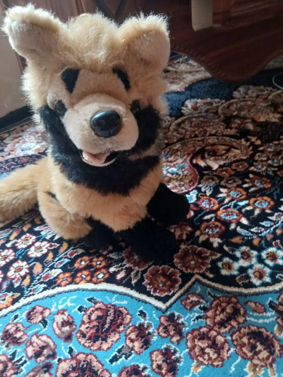 عروسک|اسباببازی بچه|تبریز, |دیوار