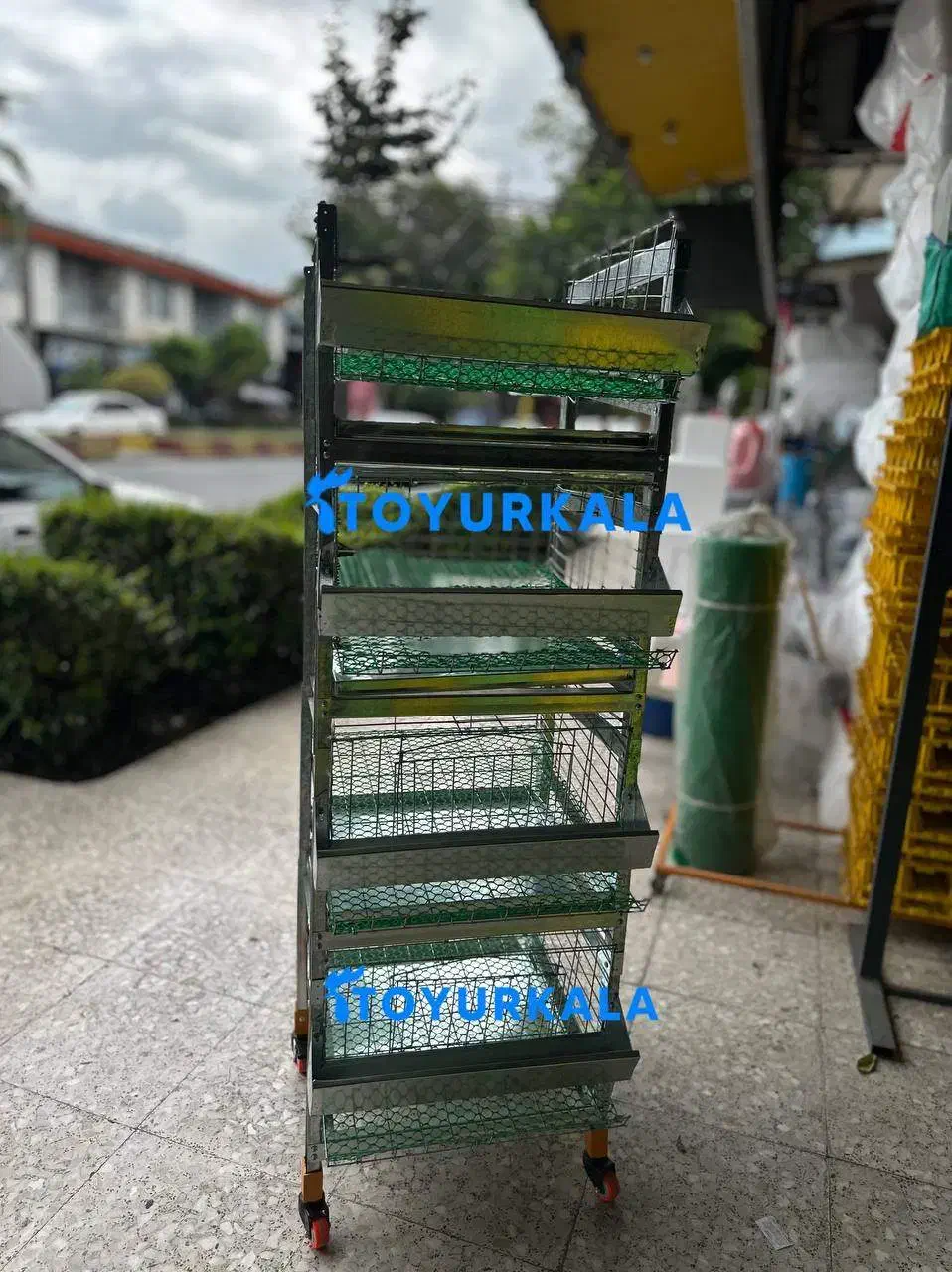 در*آپارتمان یا% بلدرچین مینی و قفس مرغ|لوازم جانبی حیوانات|بندر انزلی, باغ زمانی|دیوار