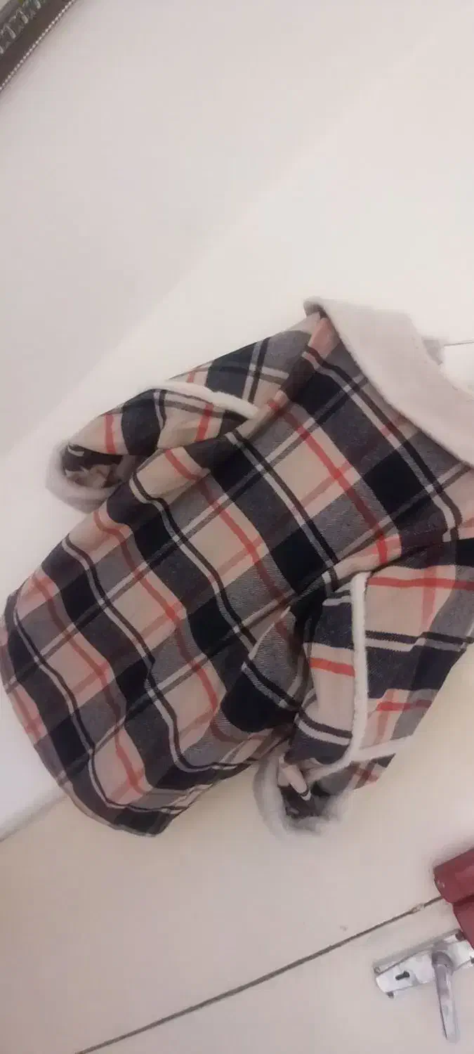 پالتو|لباس|آبیک, |دیوار