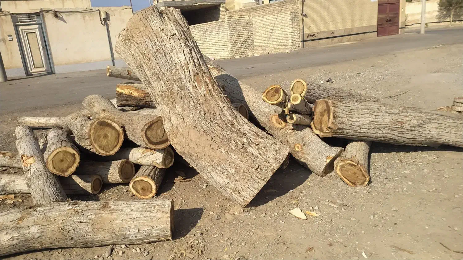 چوب|خدمات باغبانی و درختکاری|کاشان, راوند|دیوار