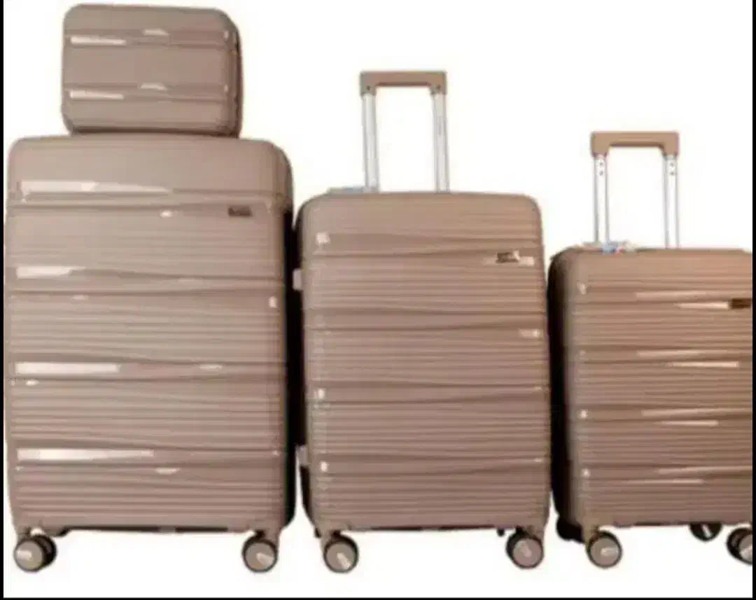 چمدان|کیف، کفش، کمربند|قم, قلعه کامکار|دیوار