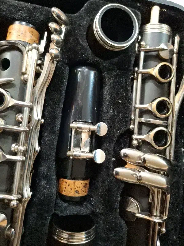 کلارینت اوشن|سازهای بادی|تبریز, |دیوار