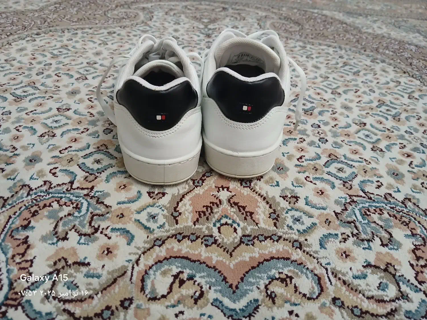 کتونی|کیف، کفش، کمربند|کهریزک, |دیوار