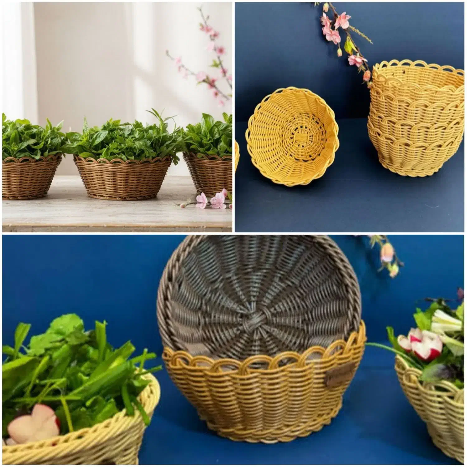 سبد سبزی|ظروف نگهدارنده، پلاستیکی، یک‌بارمصرف|مرند, |دیوار