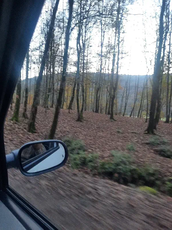 درمان و پیشگیری|خوردنی و آشامیدنی|هشتگرد, شهرک بعثت|دیوار