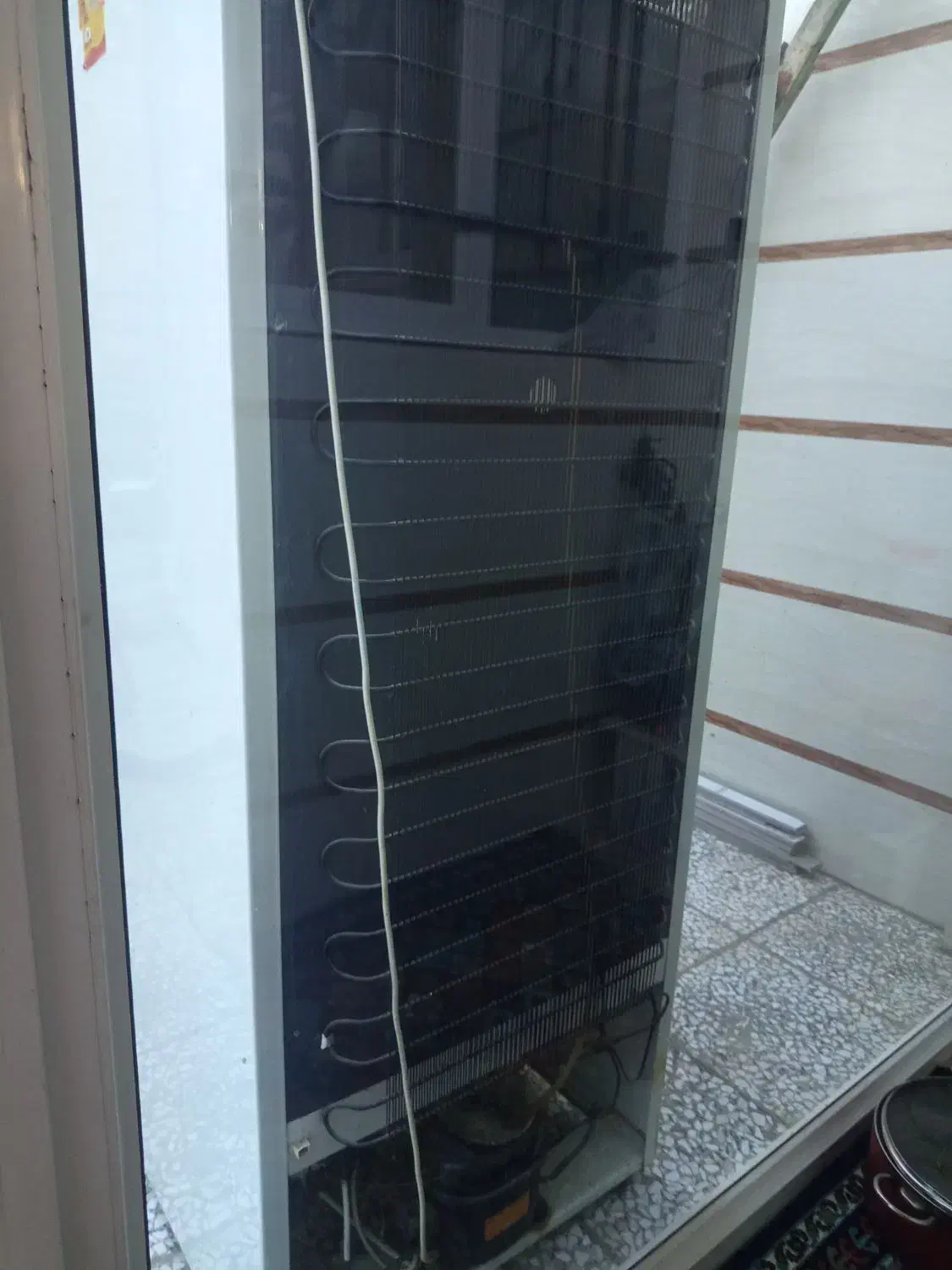 فروش فوری یخچال سلن|یخچال و فریزر|فردوسیه, |دیوار