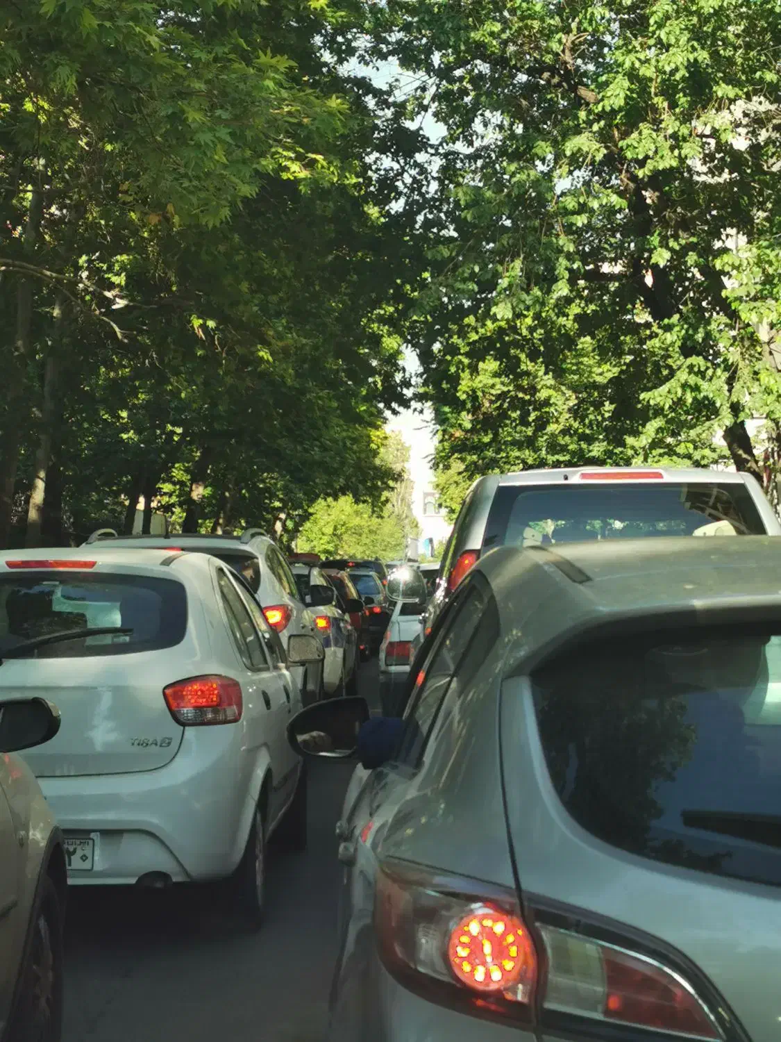 همسفر جاده ای به تبریز|فعالیت داوطلبانه|تهران, شهرک غرب|دیوار