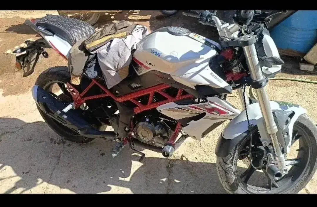 بنلی نیوفیس 150سفید 1404|موتورسیکلت|قزوین, |دیوار