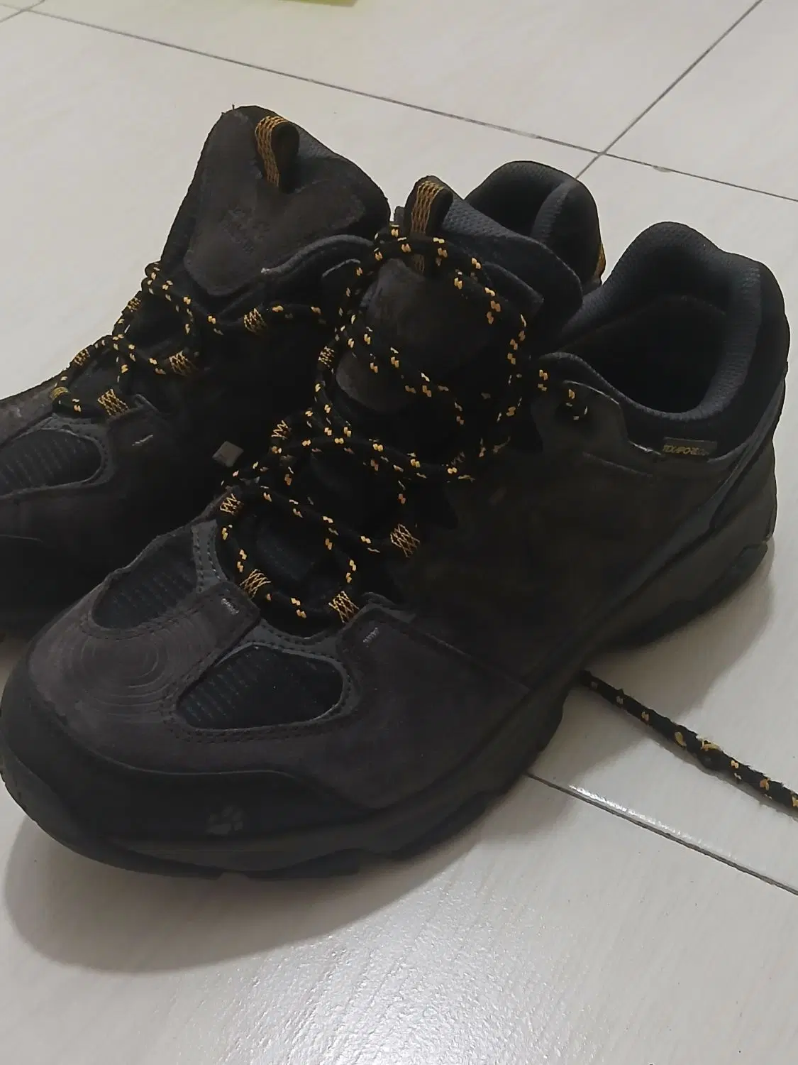 کفش ترکینگ Jack Wolfskin|کوهنوردی و کمپینگ|تهران, زهتابی|دیوار