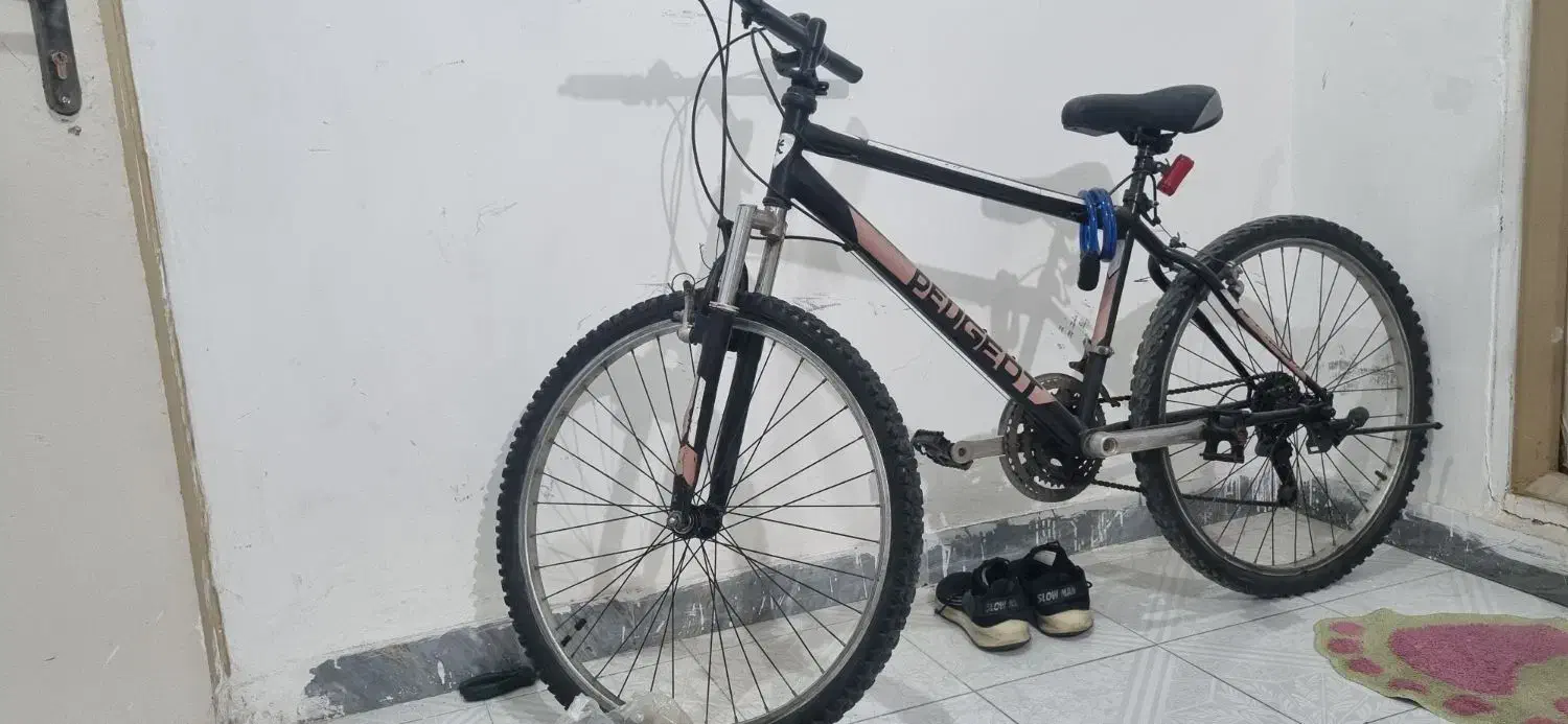 دوچرخه ۲۶|دوچرخه، اسکیت، اسکوتر|هشتگرد, شهرک ولیعصر (مصلی)|دیوار