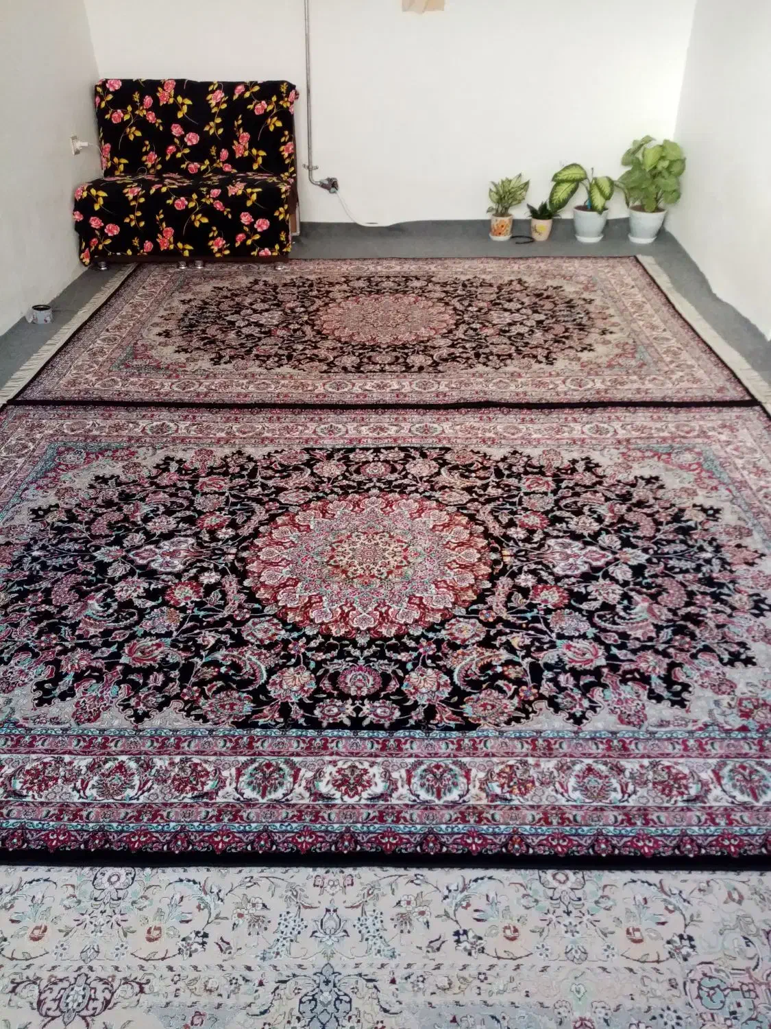 فرش عالی مشکی|فرش|پیرانشهر, |دیوار