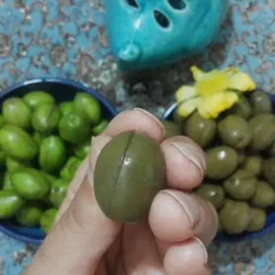 زیتون درجه یک رودبار گیلان|خوردنی و آشامیدنی|رودبار, |دیوار