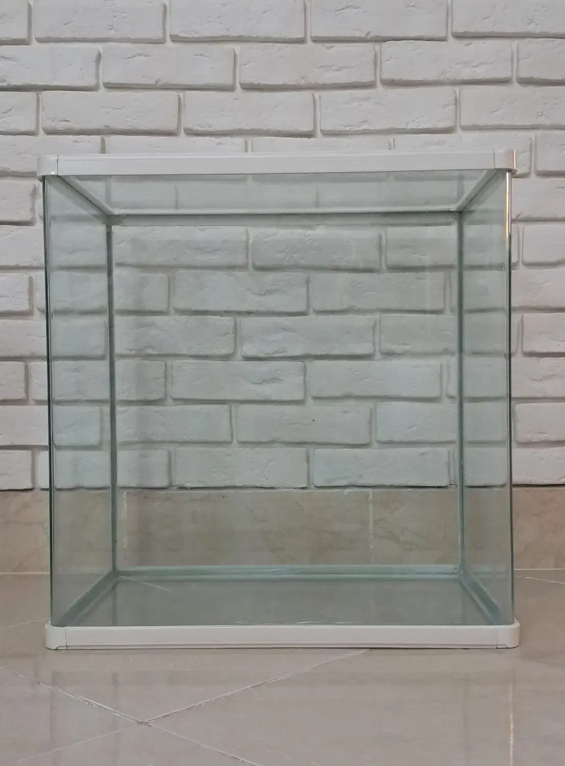 اکواریوم شیشه خم ۵۶×۳۵×۵۵|ماهی|قم, پردیسان|دیوار