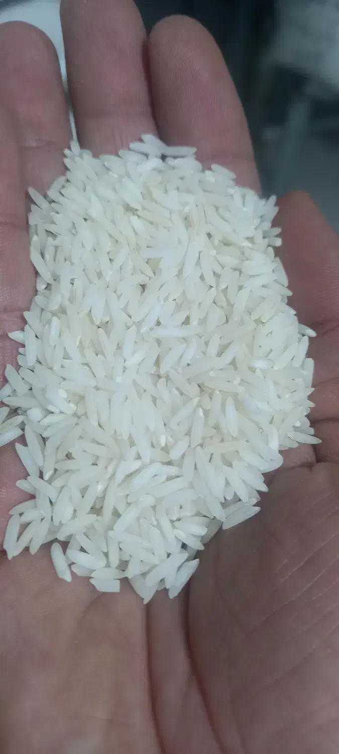 نیمدانه اعلا|خوردنی و آشامیدنی|قزوین, |دیوار