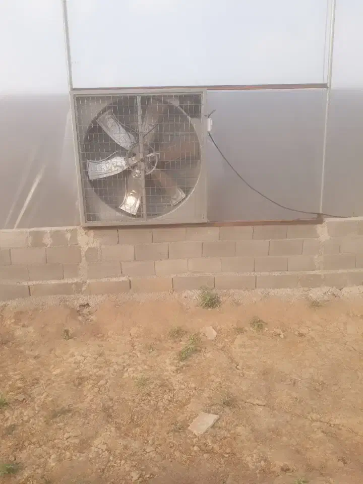 نصب صفر تا صد گلخانه|خدمات پیشه و مهارت|ایذه, |دیوار