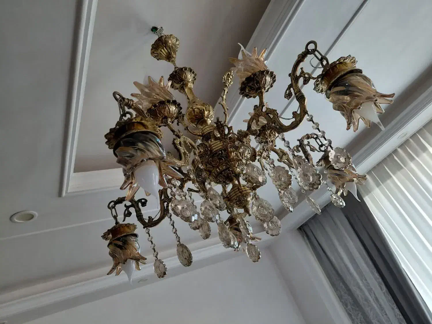 لوستر پنج شاخه لاله واژگون برنز|لوستر و چراغ آویز|ملایر, |دیوار