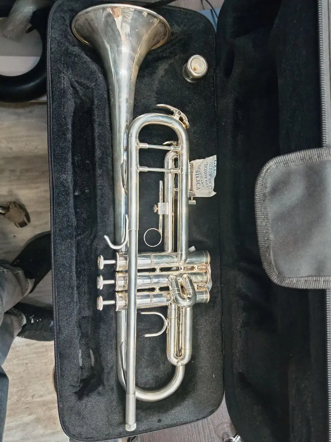 ترومپت|سازهای بادی|اصفهان, نقش جهان|دیوار