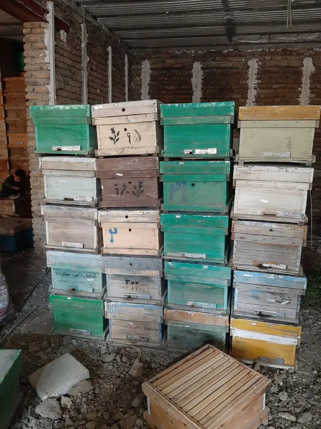 کندو زنبور عسل|حیوانات مزرعه|سنندج, |دیوار