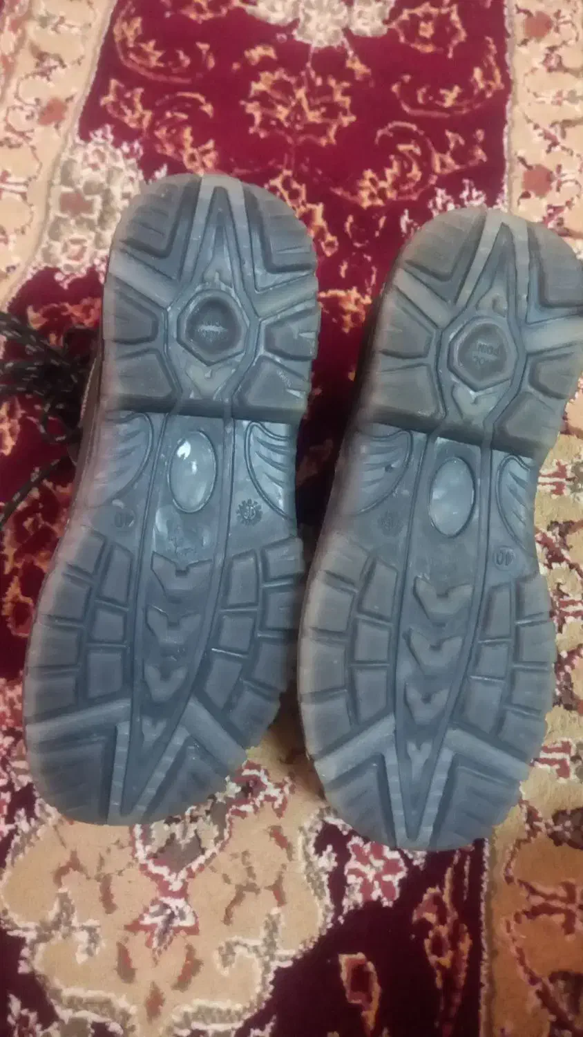 کفش کار نو نو|کیف، کفش، کمربند|زابل, |دیوار