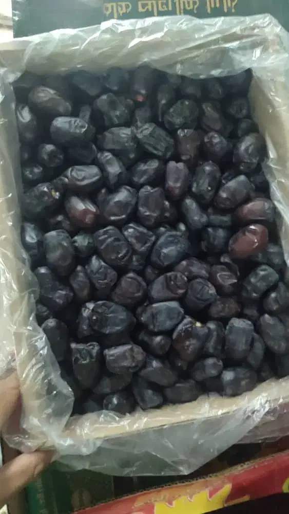 خرمابم|خوردنی و آشامیدنی|مشهد, مصلی (کارمندان اول)|دیوار