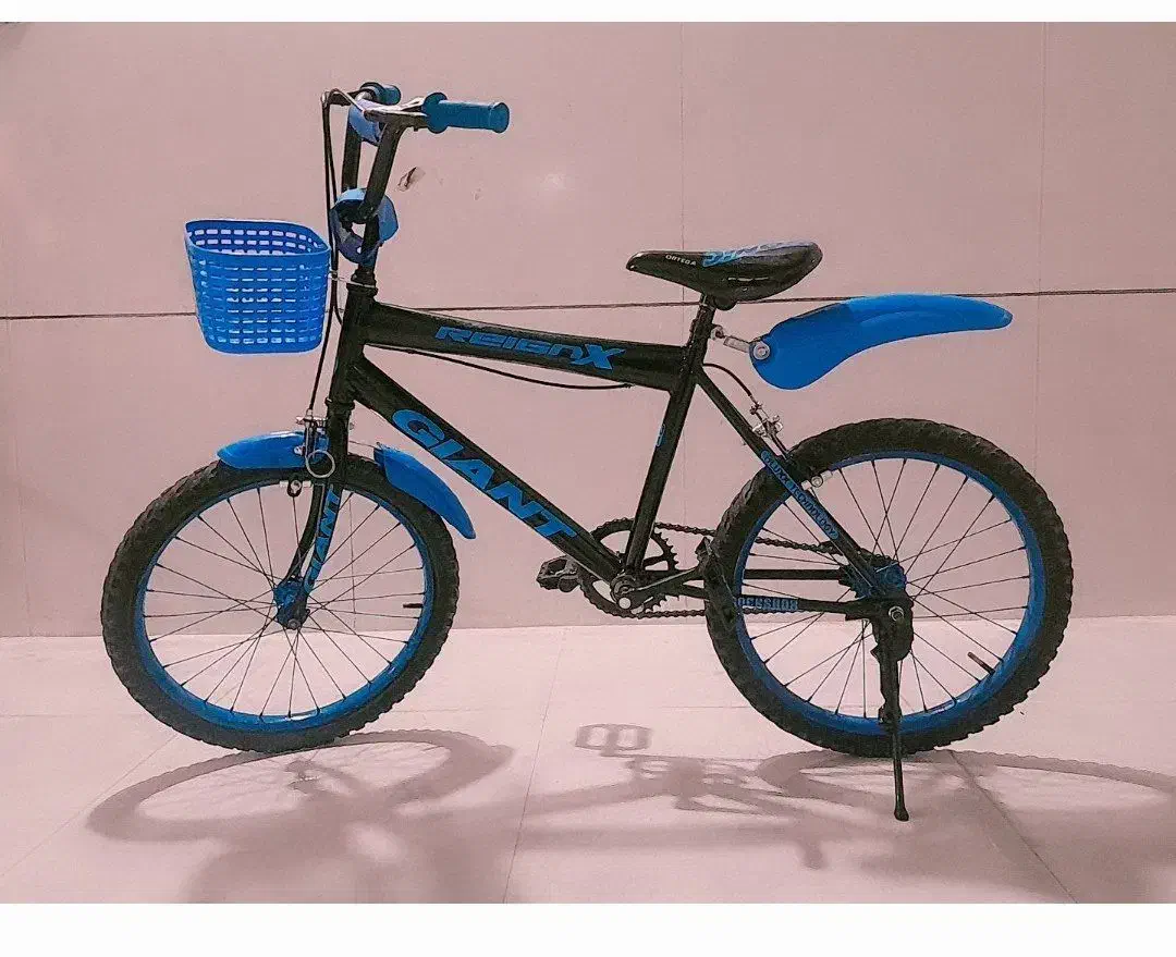 چند عدد دوچرخه درسایز های 20و24|دوچرخه، اسکیت، اسکوتر|تربت‌حیدریه, باغ سلطانی|دیوار