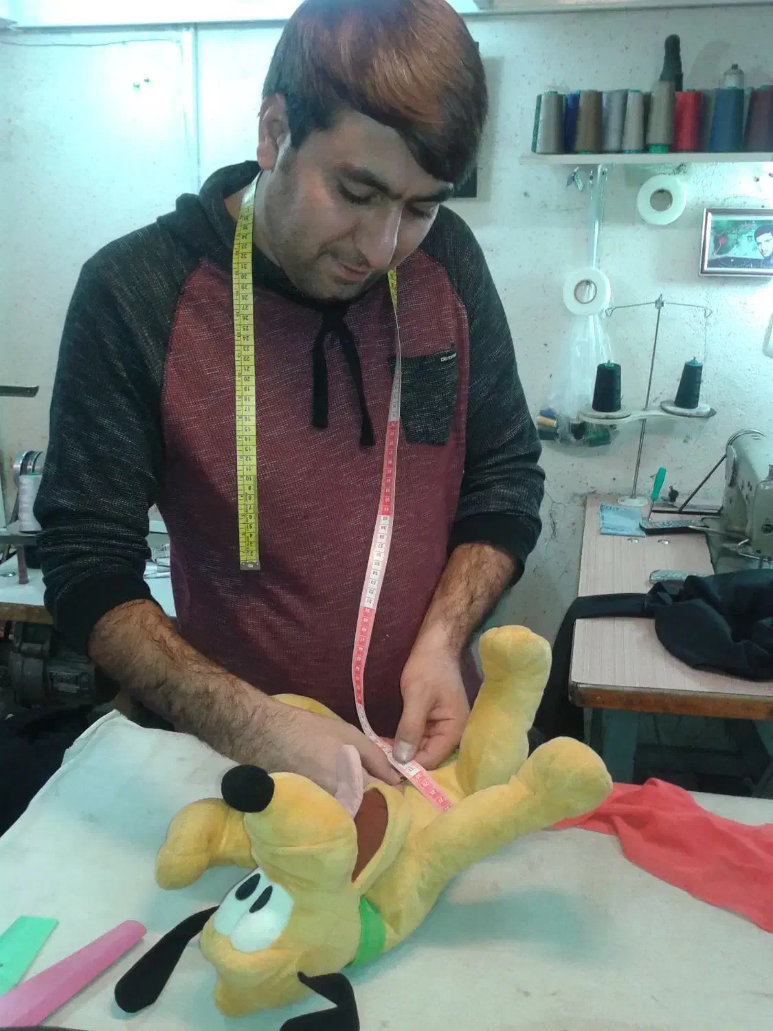 یه سگ پیدا شده|حیوانات|آبادان, |دیوار