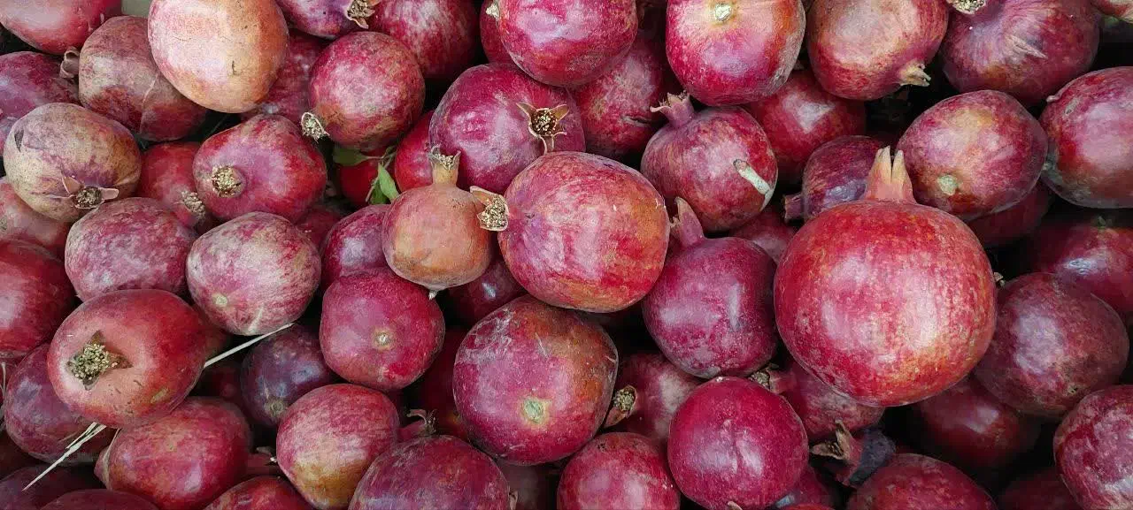 انار ساوه|خوردنی و آشامیدنی|قم, تولید دارو و یخچال|دیوار