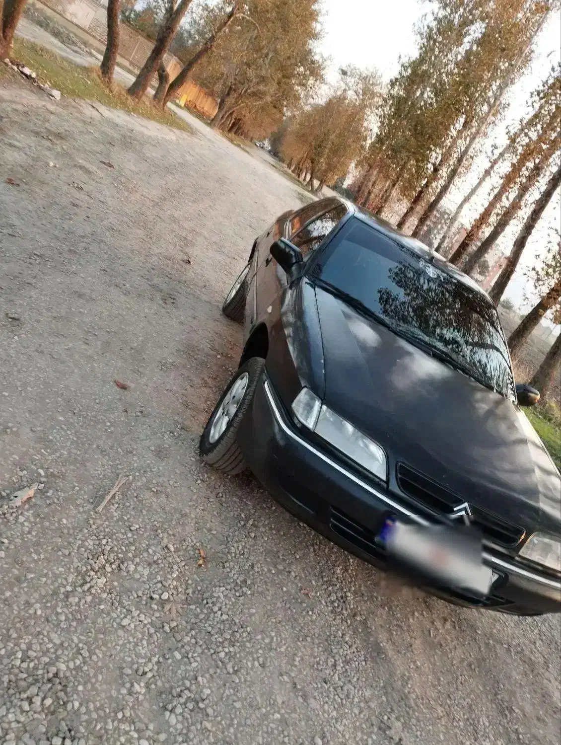 فروش فوری|خودرو سواری و وانت|گرگان, |دیوار