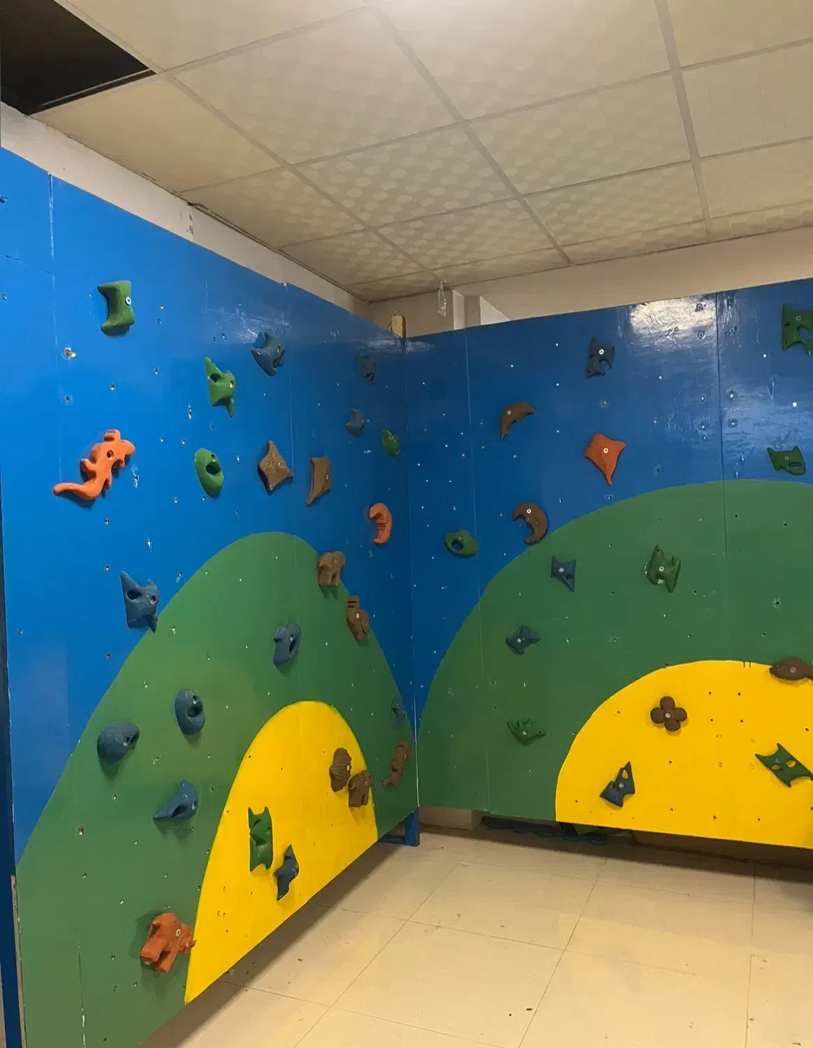 صخره نوردی و بارفیکس و نردبان|تجهیزات ورزشی|ارومیه, |دیوار