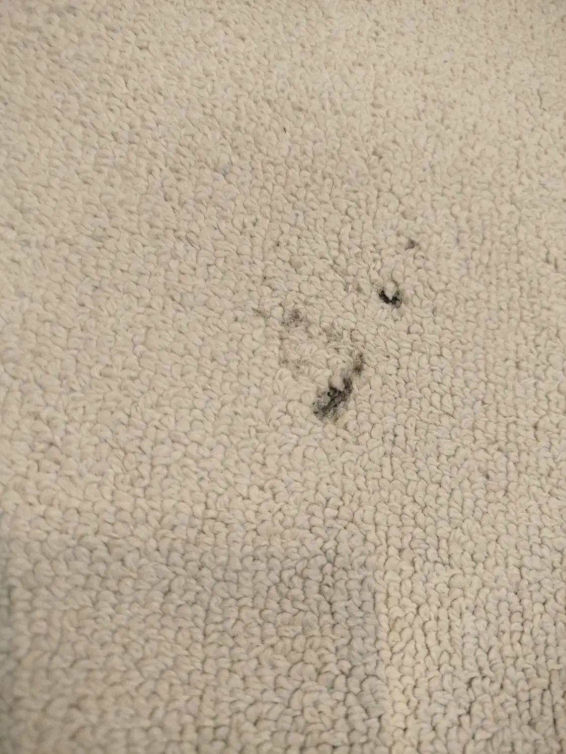 یک جفت فرش چهار متری کاملا سالم|فرش|اصفهان, خانه اصفهان|دیوار