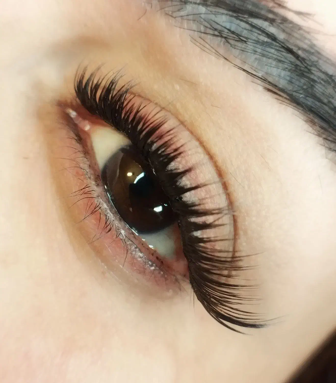 فقط کاشت مژه هیدن|خدمات آرایشگری و زیبایی|اصفهان, ملکشهر|دیوار