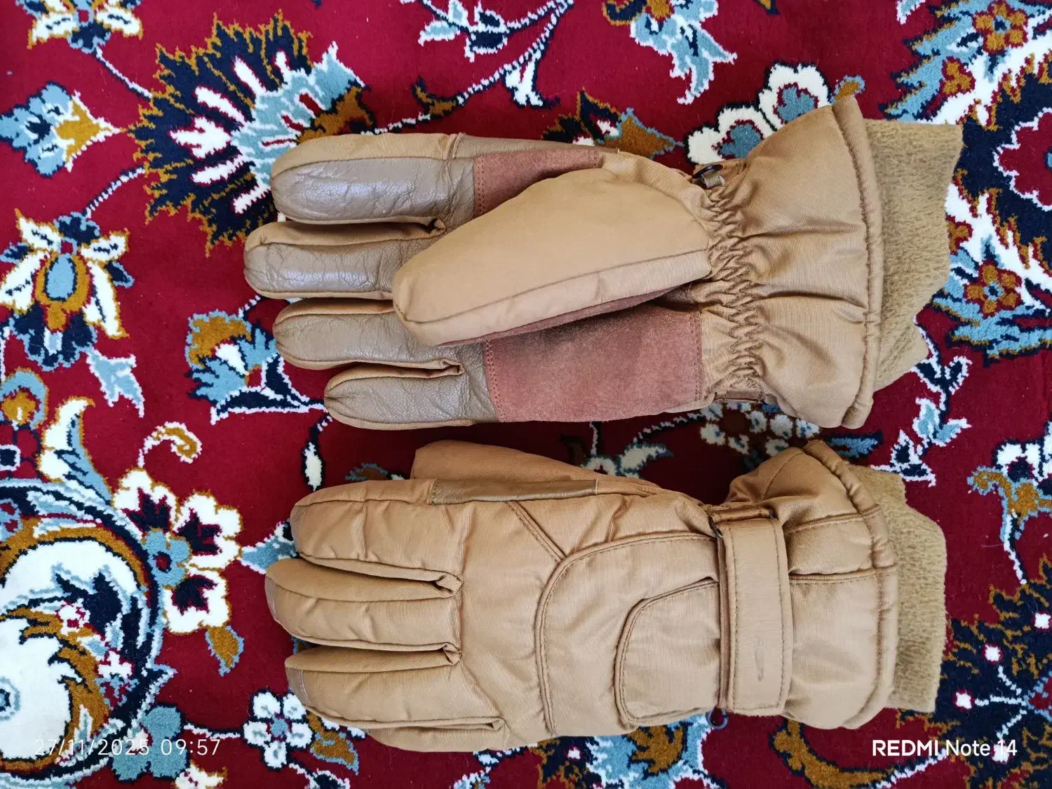 دستکش کوهنوردی|کوهنوردی و کمپینگ|تربتحیدریه, ترمینال|دیوار