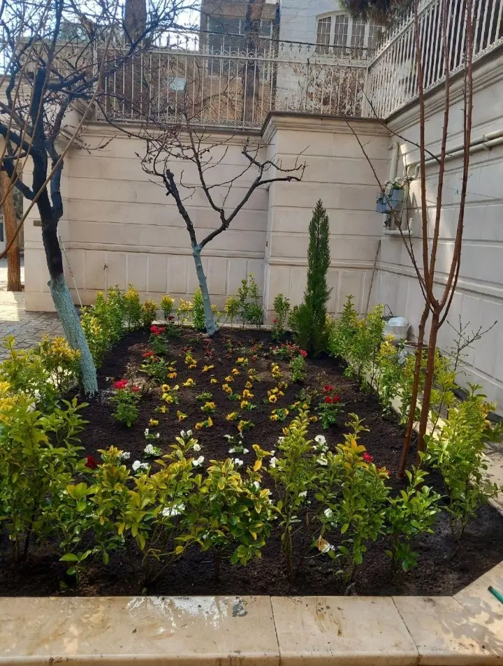 باغبانی سمپاشی تیلرزنی تعویض گلدان هرس کاری گلکاری|خدمات باغبانی و درختکاری|مشهد, وکیلآباد|دیوار